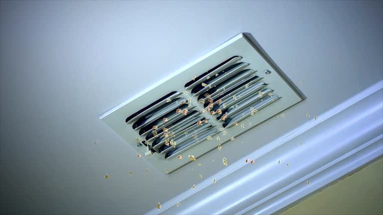 HVAC System Cleaning in Palmview South, TX