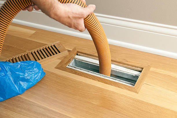 Best Best Air Duct Cleaning Near Me  in Palmview South, TX