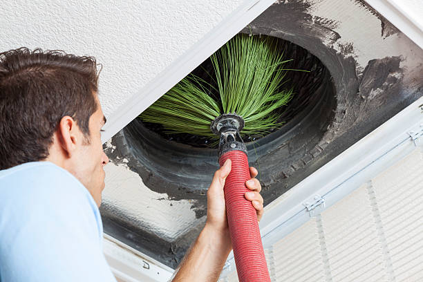 Best Affordable HVAC Duct Cleaning  in Palmview South, TX