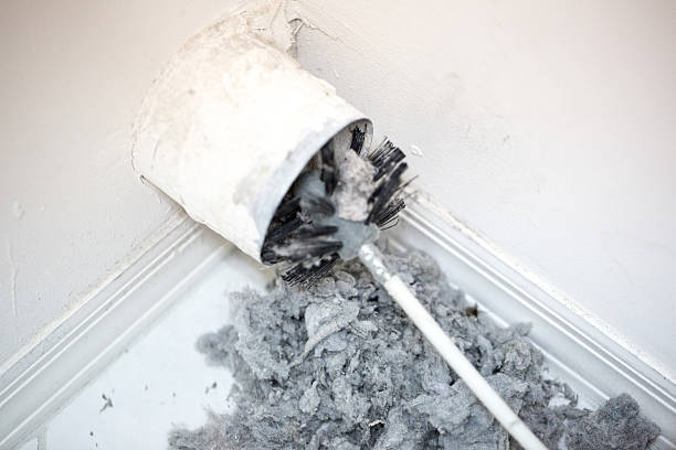 Best Local Air Duct Cleaning Services  in Palmview South, TX