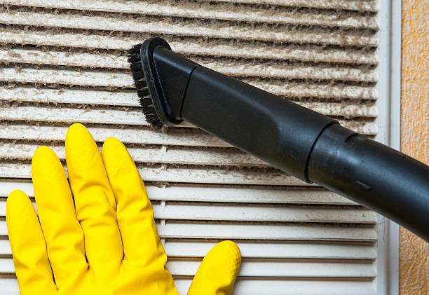 Best HVAC Air Duct Cleaning  in Palmview South, TX