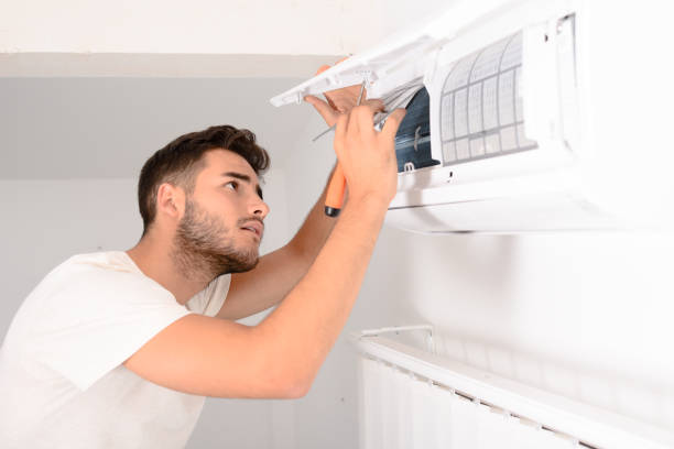 Best Air Duct Sanitizing Services  in Palmview South, TX